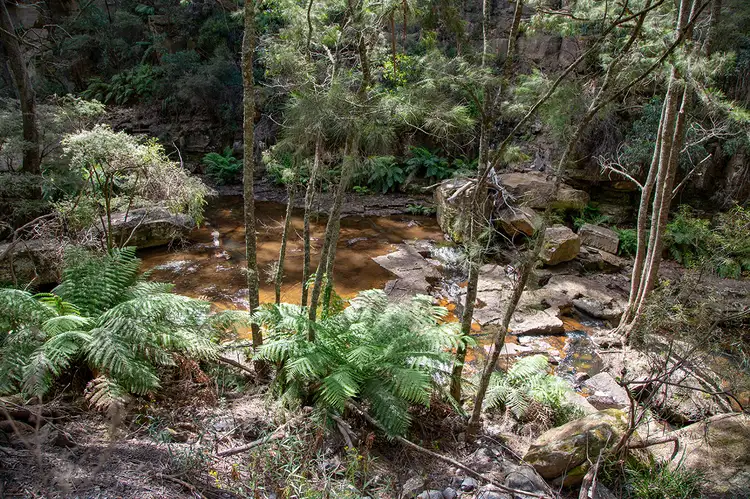 Fifth view of Homely rural property listing, 295 Cherry Tree Road, Sutton Forest NSW 2577