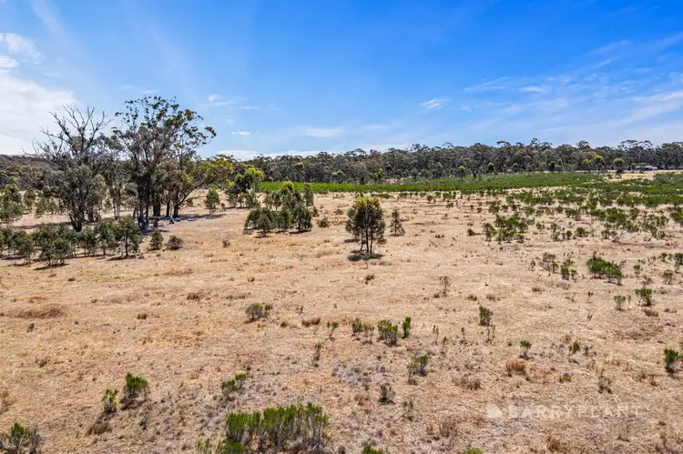 Seventh view of Homely rural property listing, 340 Talbot - Mt Cameron Road, Red Lion VIC 3371