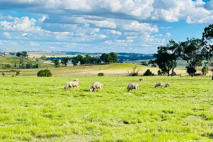 40 Elm Street, Guyra NSW 2365