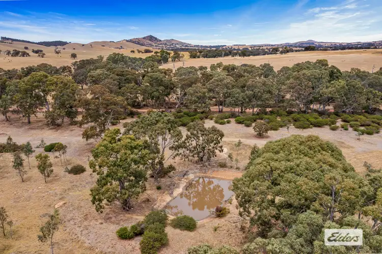 Seventh view of Homely rural property listing, Corner Better Route Road And Port Curtis Road Road, Ararat VIC 3377