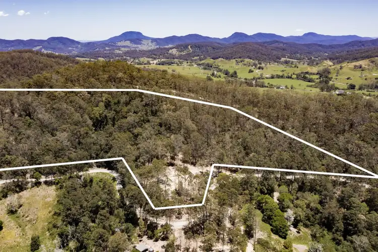 LOT 1, 180 Bakers Creek Road, Taylors Arm NSW 2447