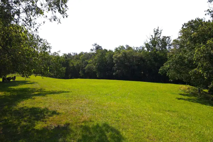 Main view of Homely rural property listing, 37 Johnsons Creek Road, Stroud Road NSW 2415