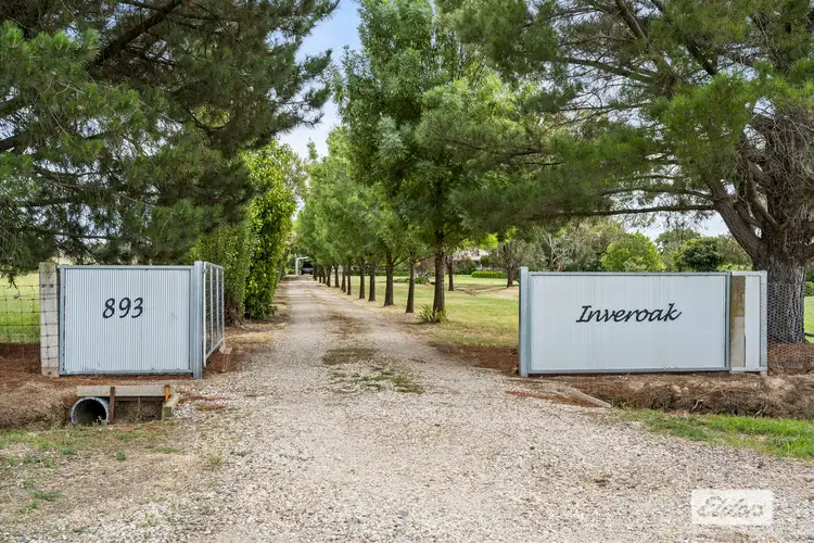 893 Glenellen Road, Gerogery NSW 2642