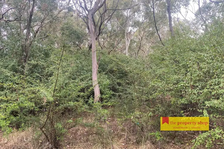 34 Mountain Street, Charbon NSW 2848