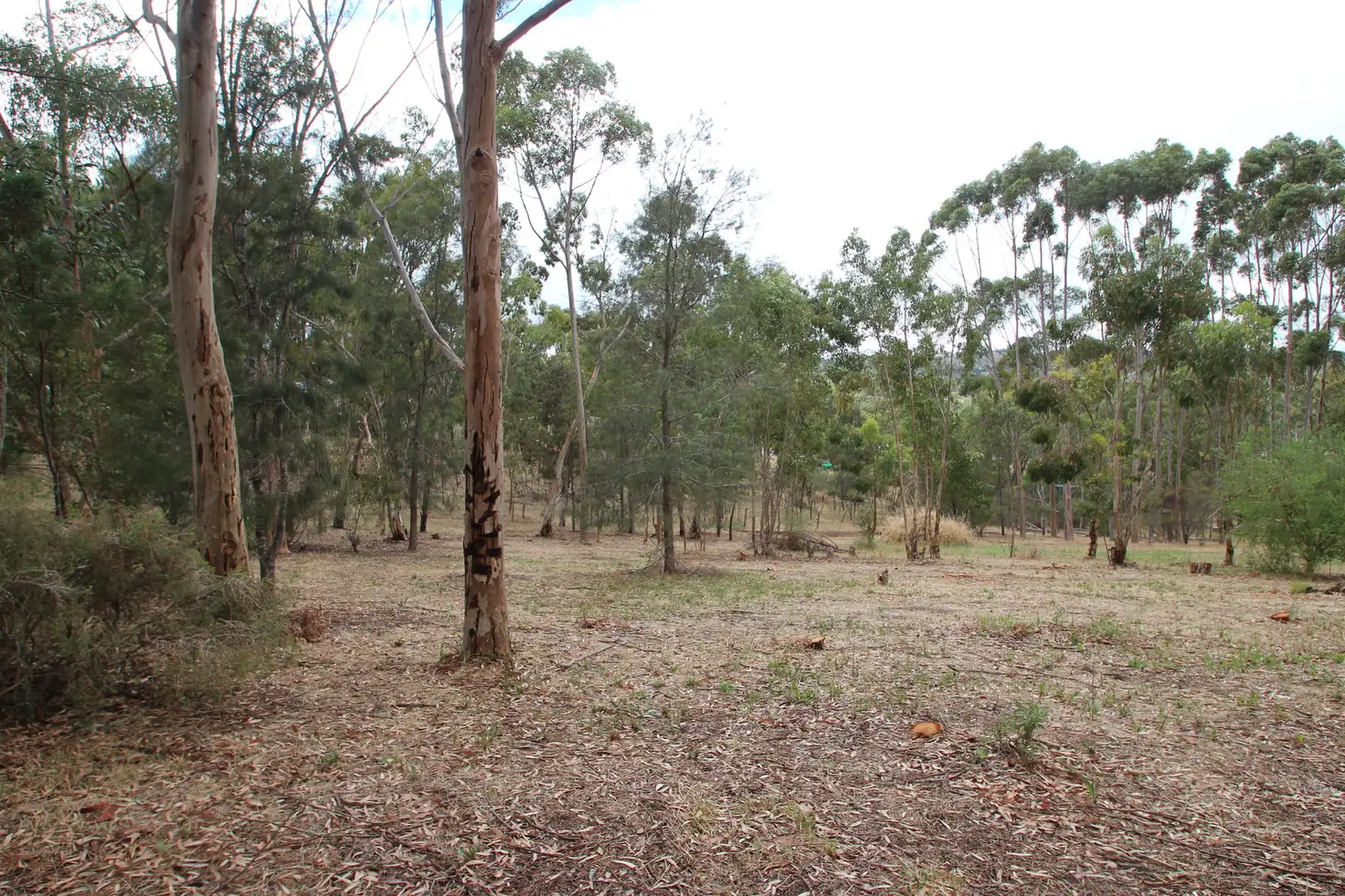 Main view of Homely land listing, Lot 1 High Street West, Armagh SA 5453