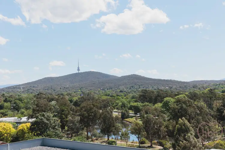 802/349 Northbourne Avenue, Lyneham ACT 2602