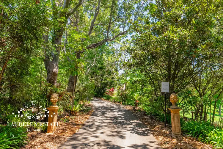 Fourth view of Homely rural property listing, 15 Negus Road, Montville QLD 4560