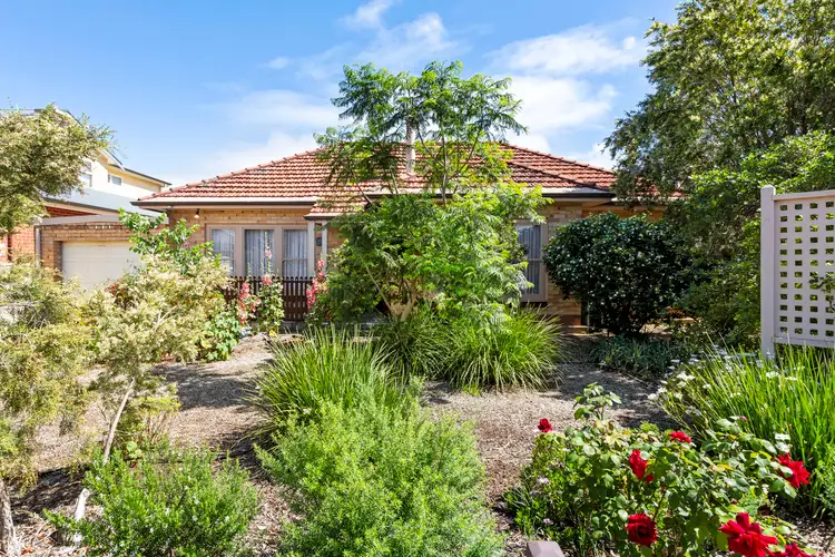39 MacFarlane Street, Glenelg North SA 5045
