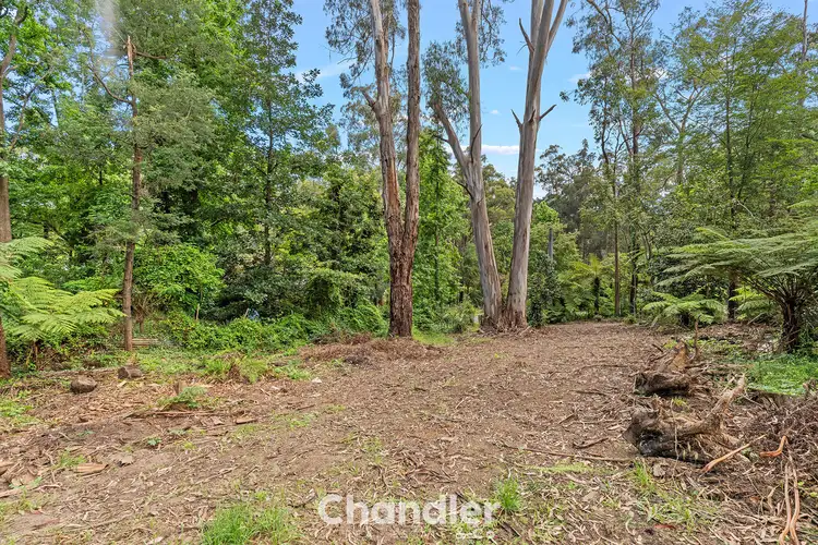 Second view of Homely land listing, 206 Emerald-Monbulk Road, Monbulk VIC 3793