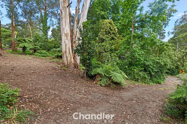 Third view of Homely land listing, 206 Emerald-Monbulk Road, Monbulk VIC 3793