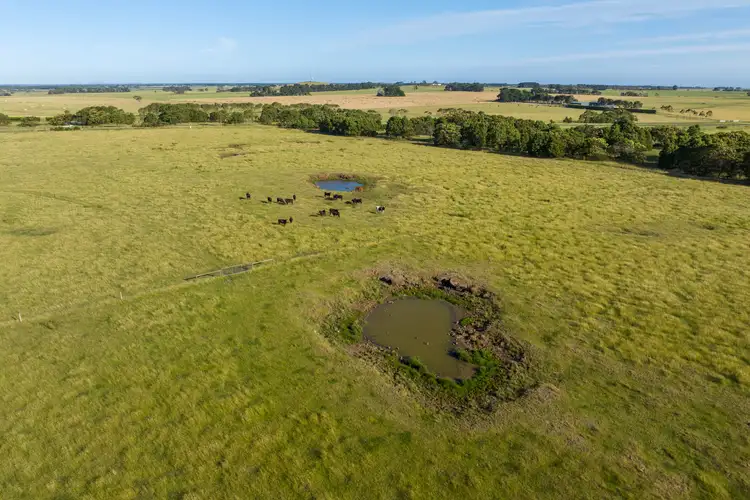 Fourth view of Homely rural property listing, 831 Koroit-Woolsthorpe Road, Woolsthorpe VIC 3276