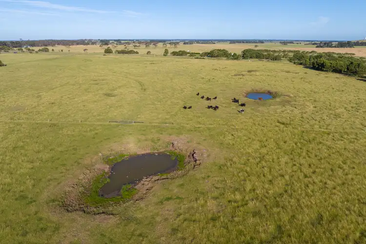 Fifth view of Homely rural property listing, 831 Koroit-Woolsthorpe Road, Woolsthorpe VIC 3276