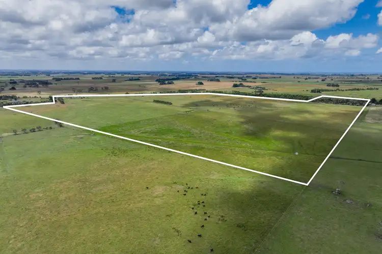 Seventh view of Homely rural property listing, 831 Koroit-Woolsthorpe Road, Woolsthorpe VIC 3276