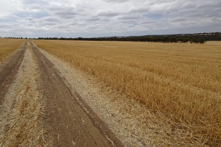 Sixth view of Homely rural property listing, 1137 Boscabel-Chittinup Road, Boscabel WA 6394