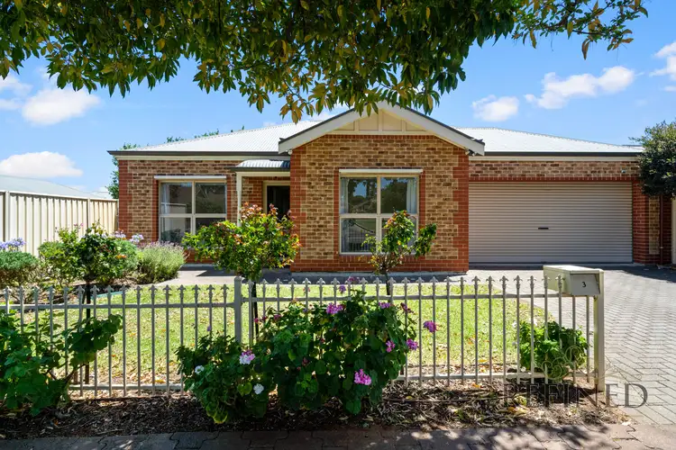3 Thistle Avenue, Klemzig SA 5087
