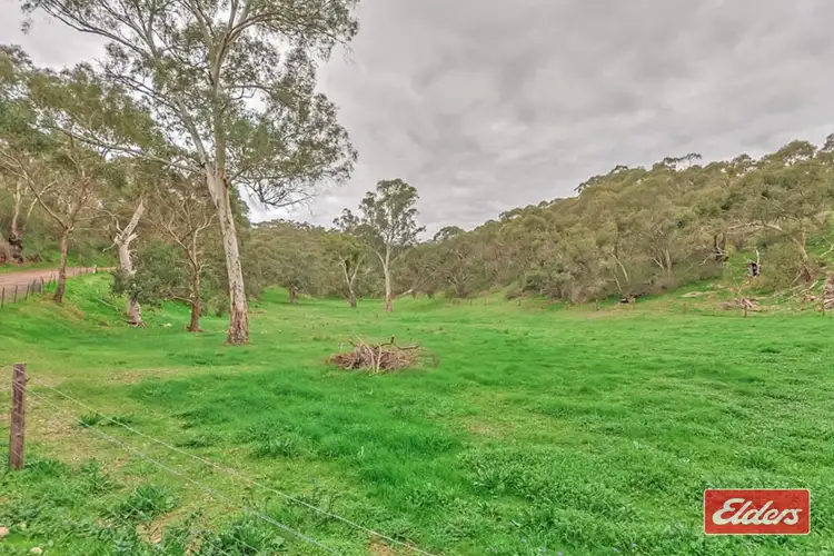 Fifth view of Homely house listing, 121 Coppermine Road, Williamstown SA 5351