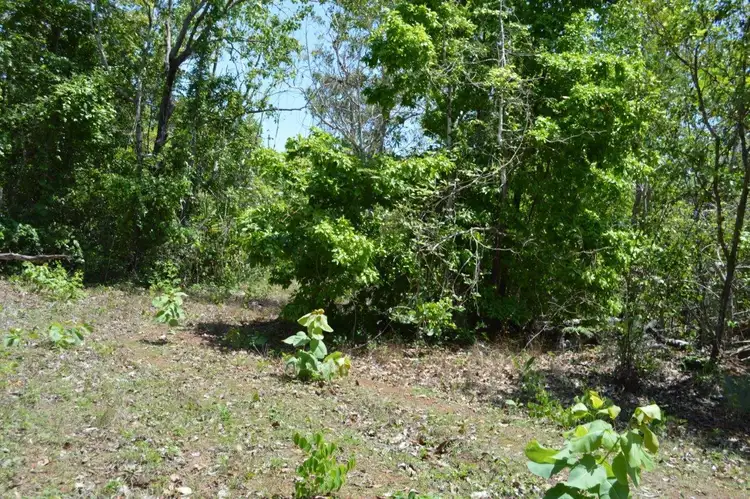 Fifth view of Homely land listing, LOT 3374, 95 Myrmidon Road, Dundee Beach NT 840