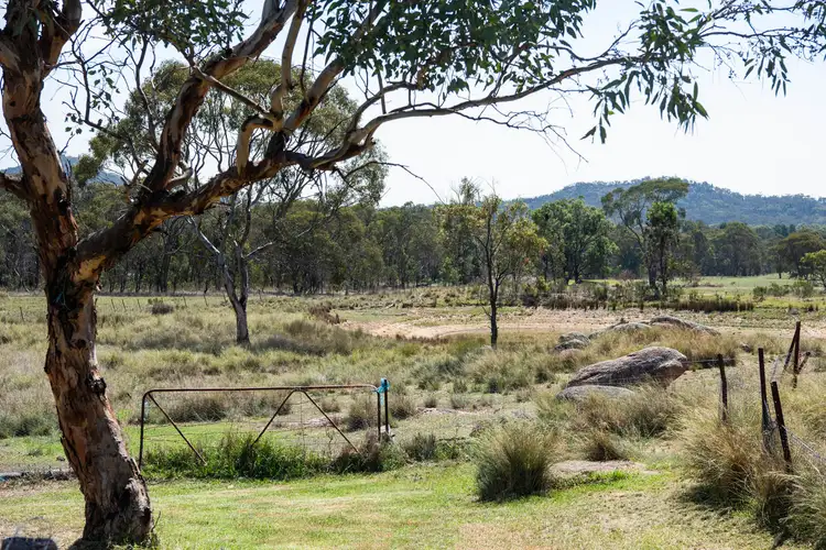 Fifth view of Homely rural property listing, 590 Ridge Road, Mudgee NSW 2850