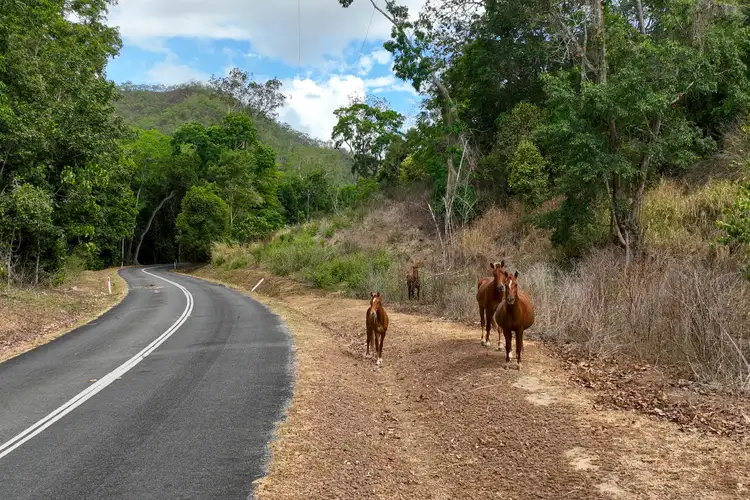 Seventh view of Homely land listing, 34 Chonggora Street, Goldsborough QLD 4865