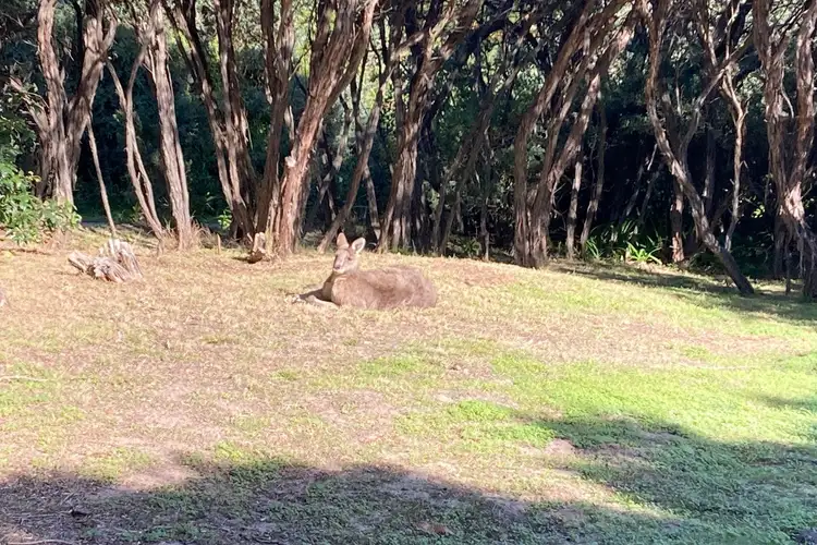 2 McIndoe Avenue, Venus Bay VIC 3956