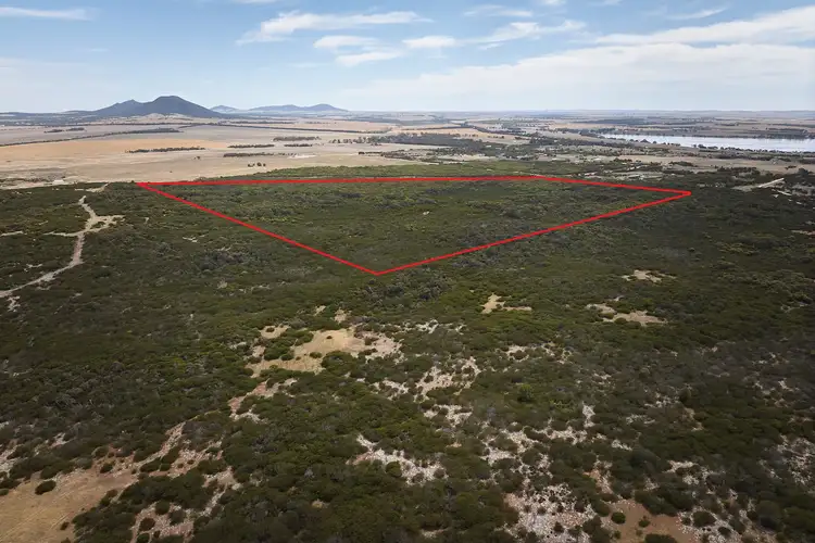 LOT 198 Warner Street, Wangary SA 5607