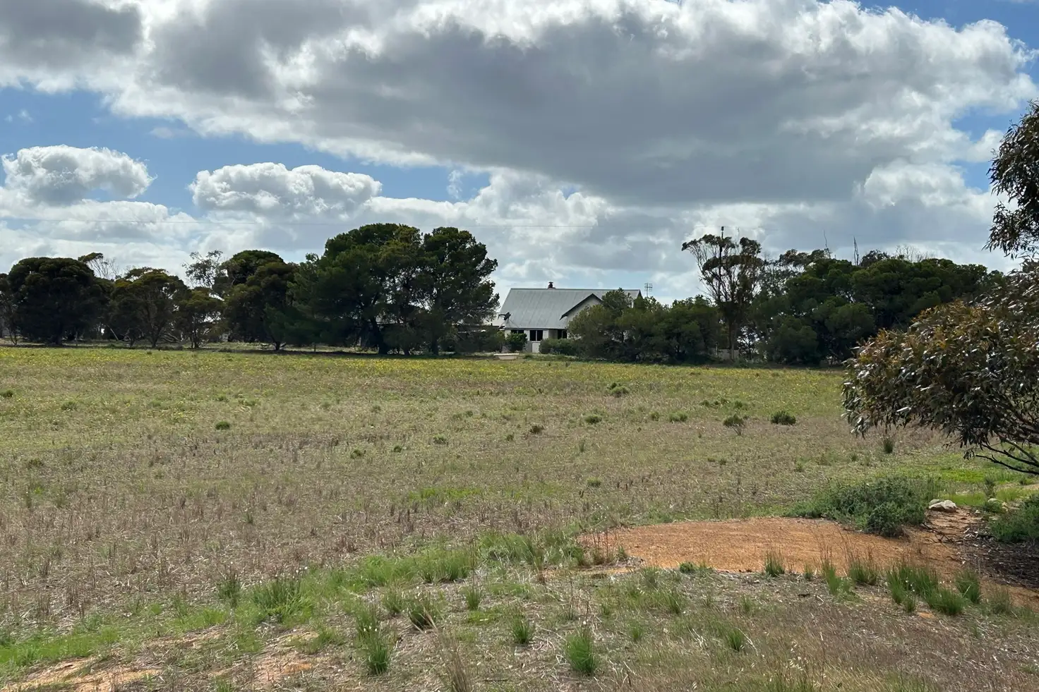 Main view of Homely rural property listing, 7462 Lincoln Highway, Port Neill SA 5604