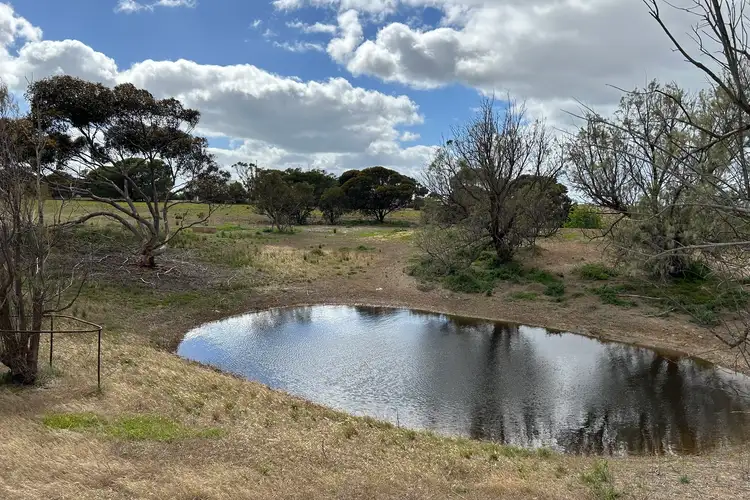 Third view of Homely rural property listing, 7462 Lincoln Highway, Port Neill SA 5604