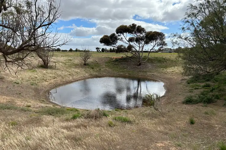 Fourth view of Homely rural property listing, 7462 Lincoln Highway, Port Neill SA 5604