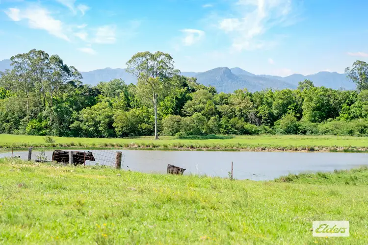 Fourth view of Homely rural property listing, Address available on request