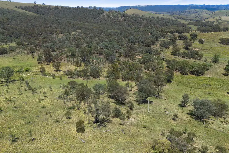 2238 Triamble Road, Mudgee NSW 2850