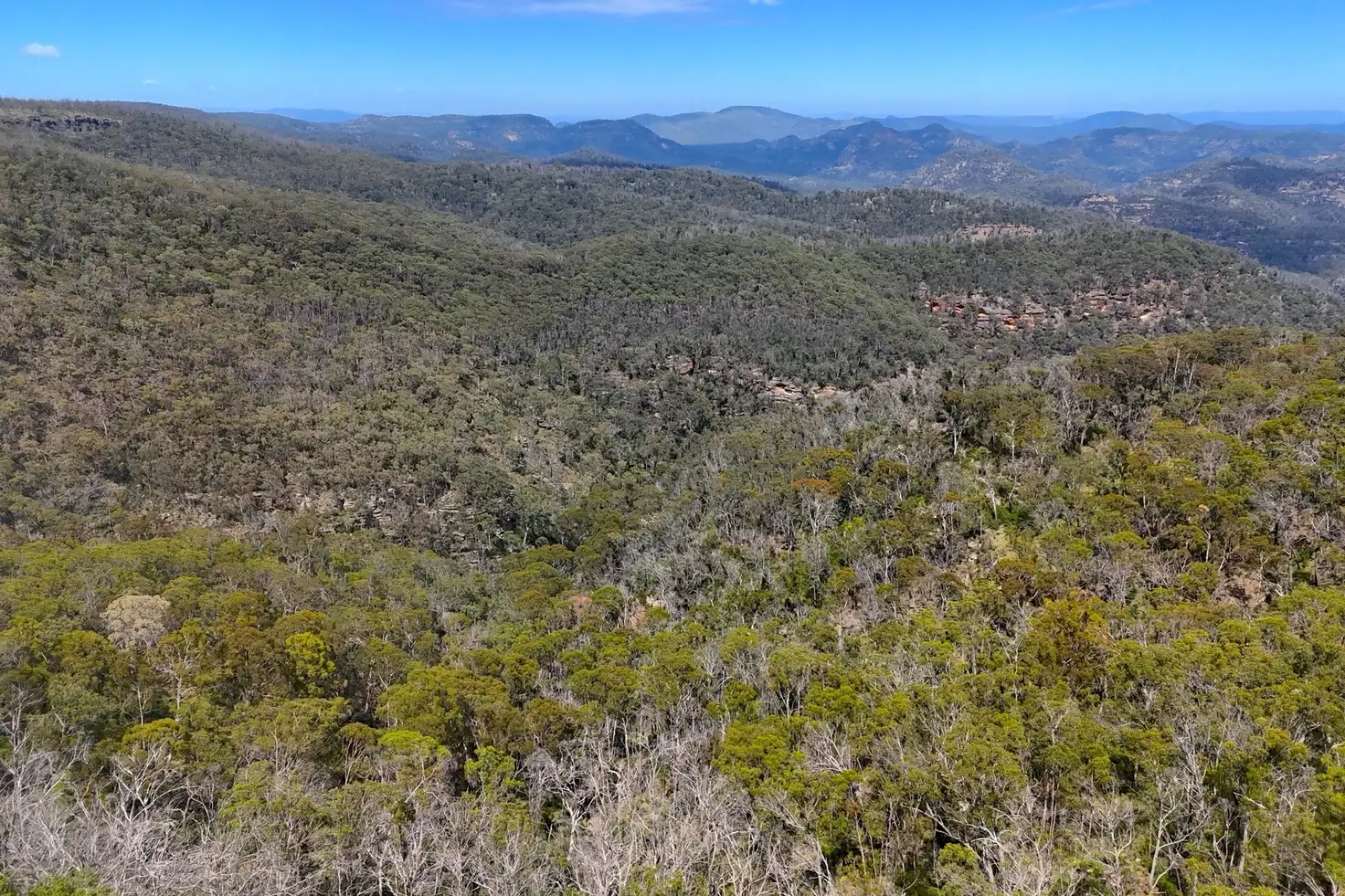 Main view of Homely rural property listing, 2515 Nullo Mountain Road, Rylstone NSW 2849