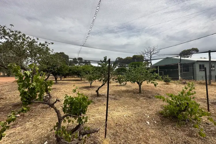 Fourth view of Homely rural property listing, 4246 Great Southern Highway, York WA 6302