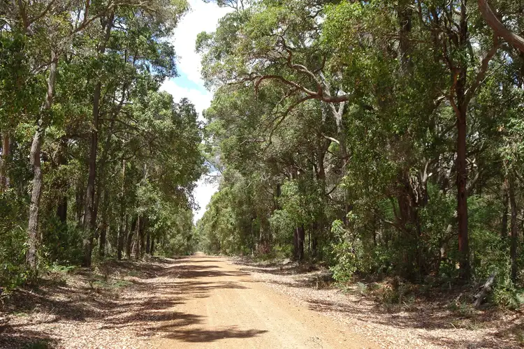 1386 Perillup Road South, Rocky Gully WA 6397