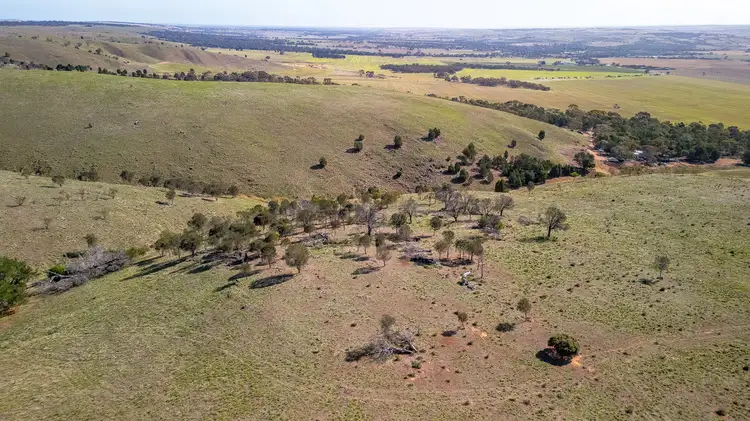 181 Old Murray Road, Callington SA 5254