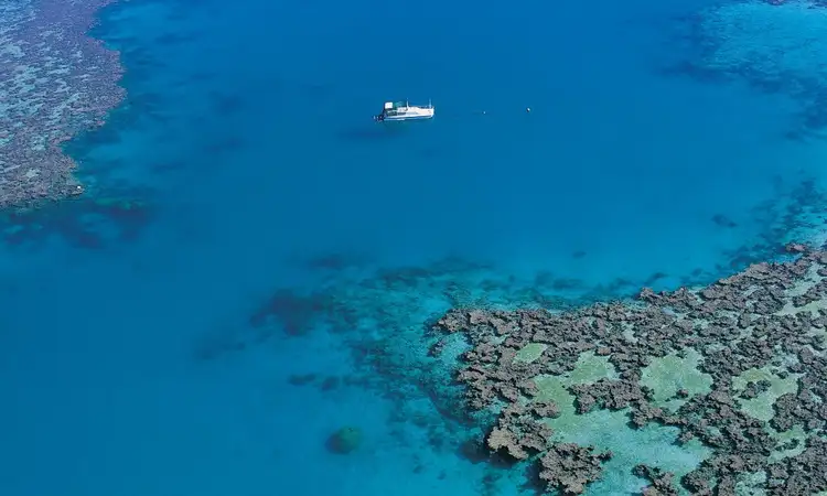 Seventh view of Homely land listing, 31 Raintree Place, Airlie Beach QLD 4802