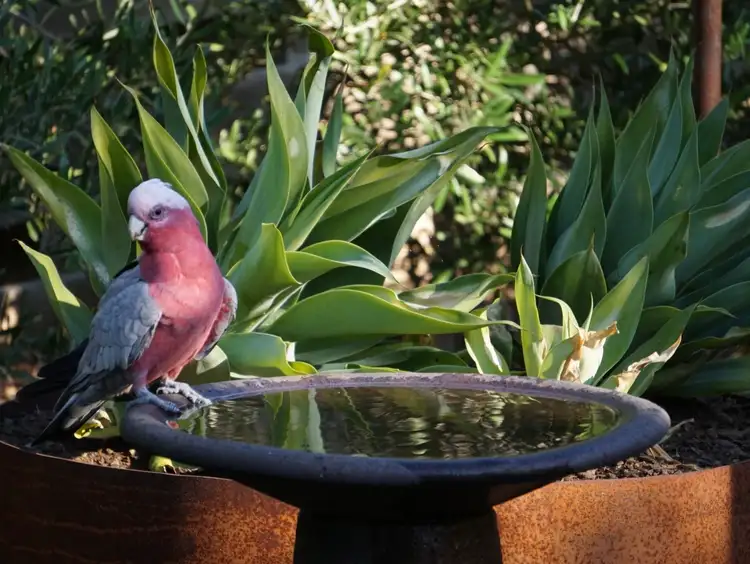 Fifth view of Homely house listing, 2/58 Marnie Road, Kennington VIC 3550