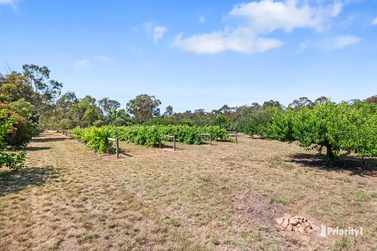 Third view of Homely rural property listing, 100 Dunolly-Moliagul Road, Dunolly VIC 3472