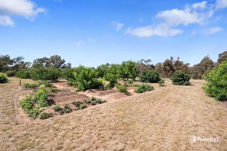 Fourth view of Homely rural property listing, 100 Dunolly-Moliagul Road, Dunolly VIC 3472