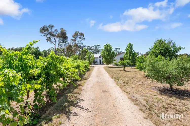 Fifth view of Homely rural property listing, 100 Dunolly-Moliagul Road, Dunolly VIC 3472