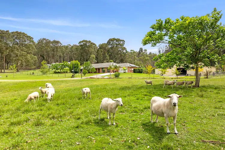 62 Jedel Drive, Catalina NSW 2536