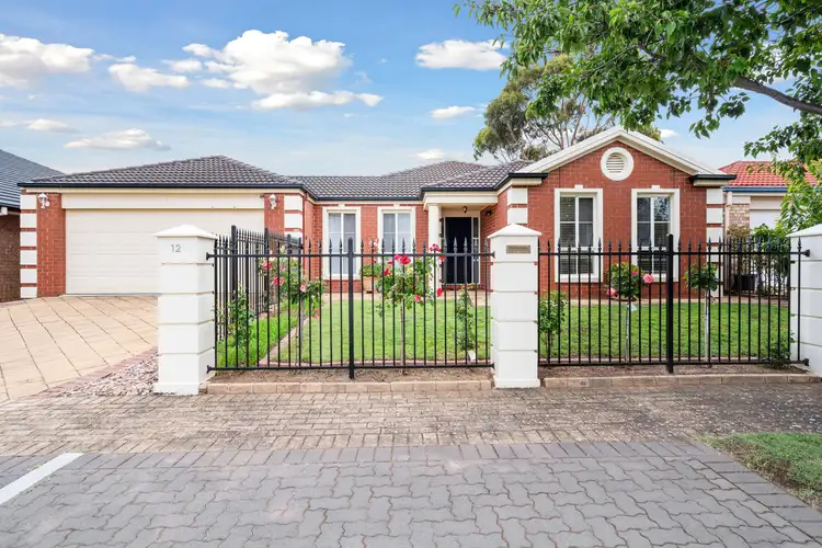 12 Newberry Avenue, Morphettville SA 5043