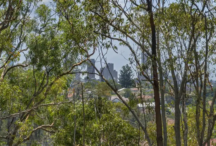Second view of Homely house listing, 77 Dagmar Street, Holland Park West QLD 4121