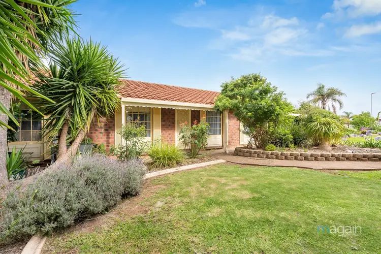 1 Amos Court, Morphett Vale SA 5162