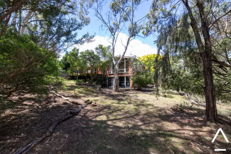 Sixth view of Homely house listing, 38 Dandenong Road, Trevallyn TAS 7250