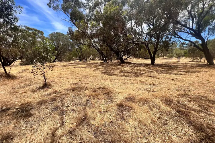 13 & 15 Brandon Street, Spencers Brook WA 6401