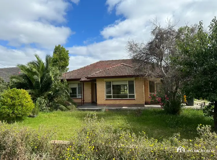Main view of Homely house listing, 1 Pashen Street, Paradise SA 5075