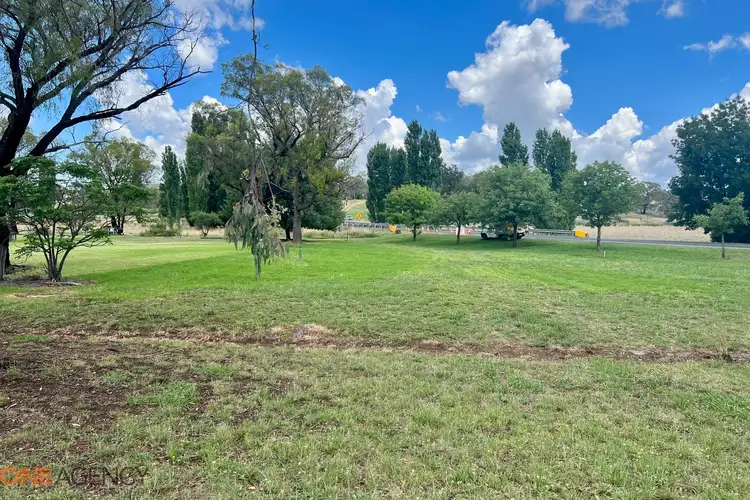 Seventh view of Homely land listing, 9 Cross Street, Cudal NSW 2864