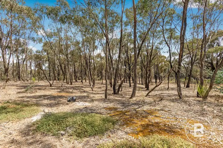 Sixth view of Homely house listing, 1916 Bendigo - Maryborough Road, Shelbourne VIC 3515