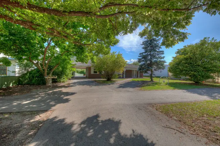 Main view of Homely block of units listing, 33 Delany Avenue, Bright VIC 3741