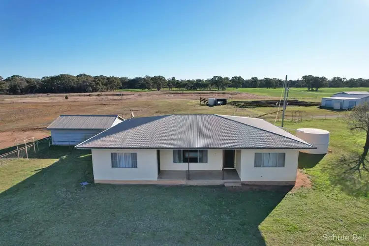 325 Tralee Lane, Peak Hill NSW 2869